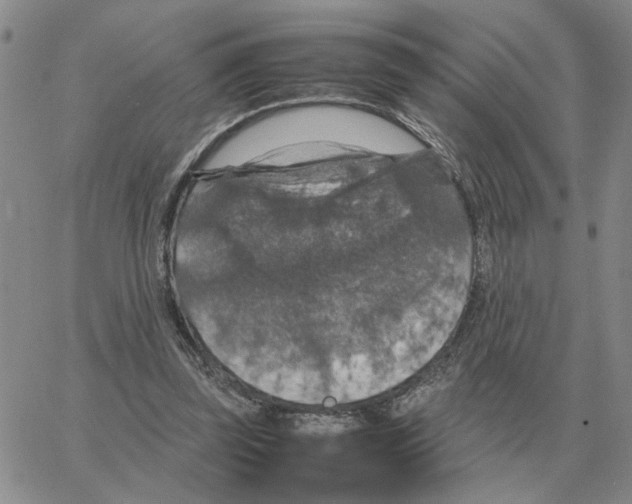 X0000064770347200603131439