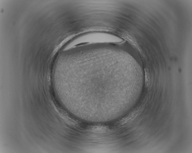 X0000064770348200603131439