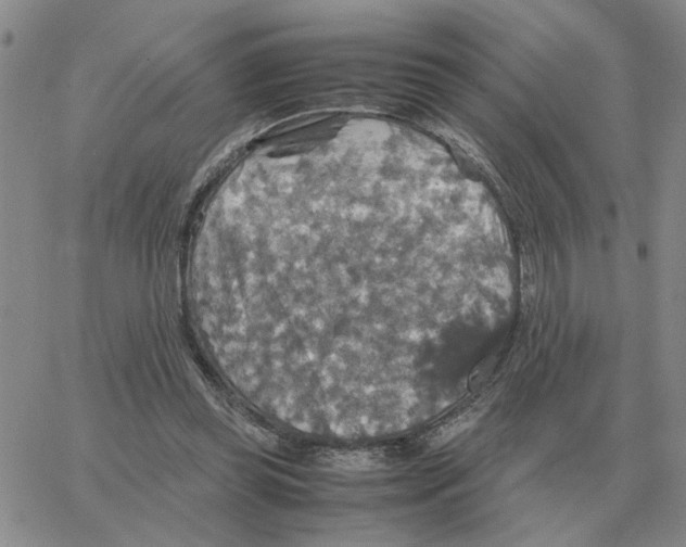 X0000064770349200603131439