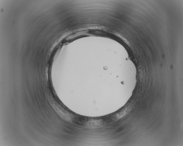 X0000064770350200603131439