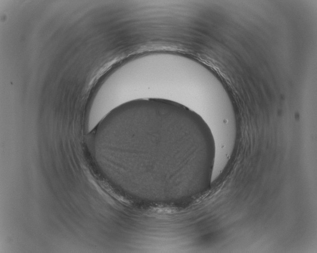 X0000064770352200603131439