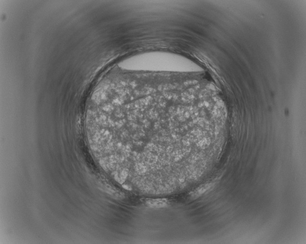 X0000064770355200603131439