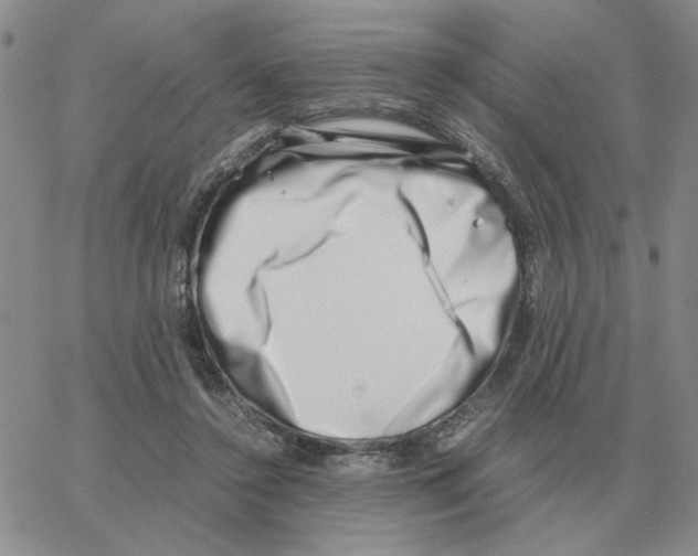 X0000064770356200603131439