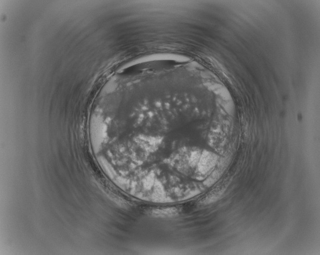 X0000064770357200603131439