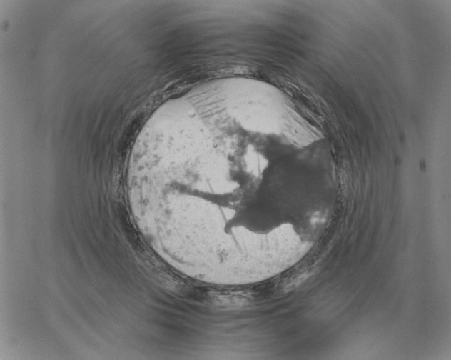 X0000064770359200603131439