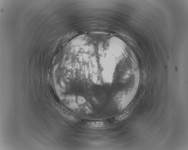 X0000064770361200603131439