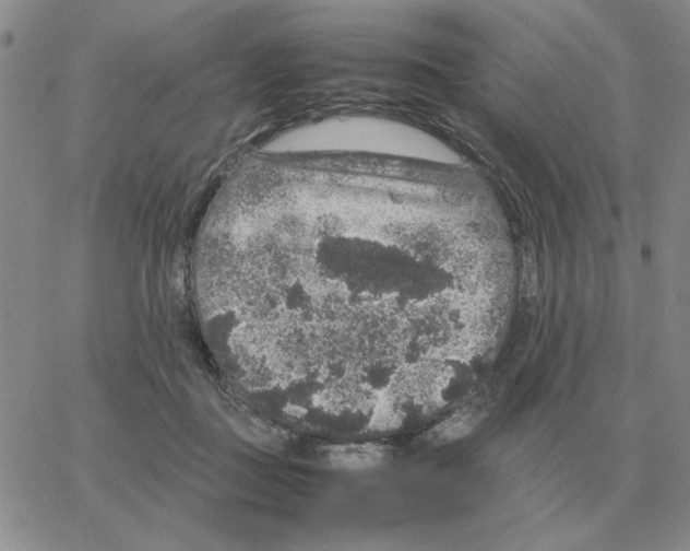 X0000064770363200603131439