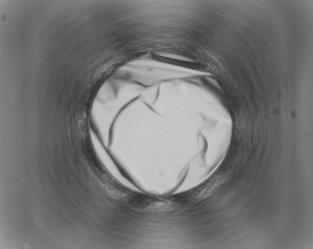 X0000064770364200603131439