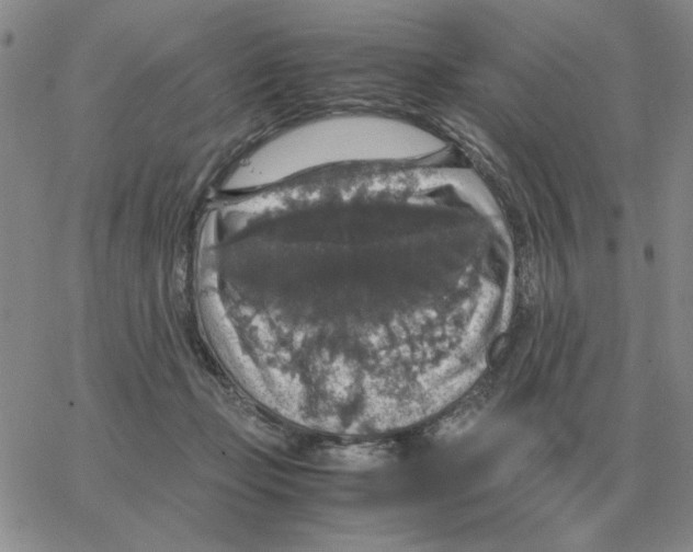 X0000064770365200603131440