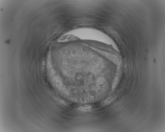 X0000064770369200603131440