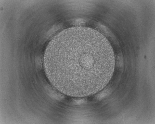 X0000064770370200603131440