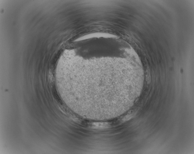 X0000064770371200603131440