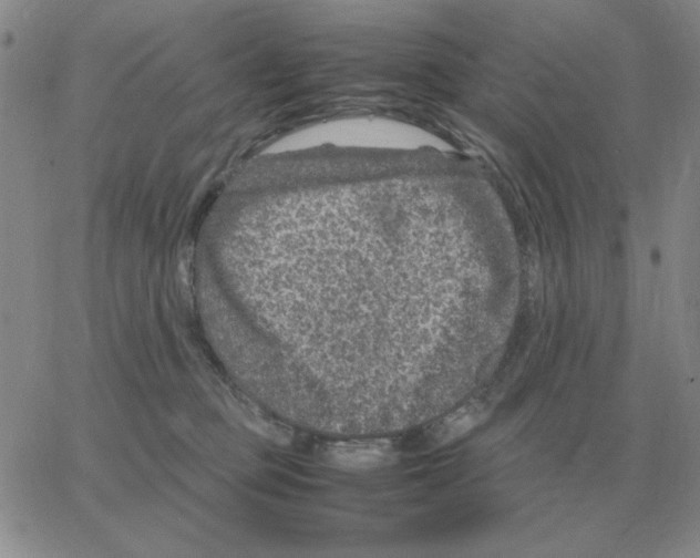 X0000064770373200603131440