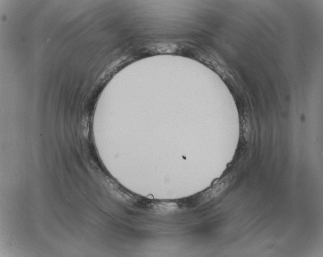 X0000064770374200603131440