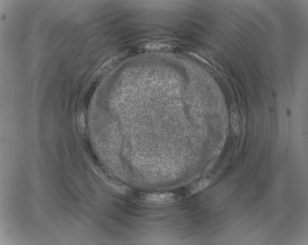 X0000064770375200603131440