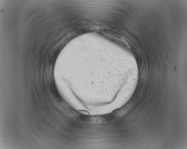 X0000064770376200603131440