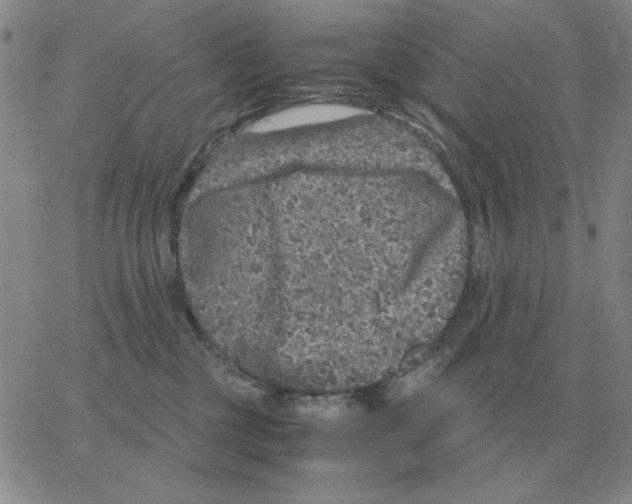 X0000064770377200603131440