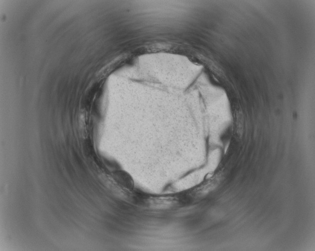 X0000064770378200603131440