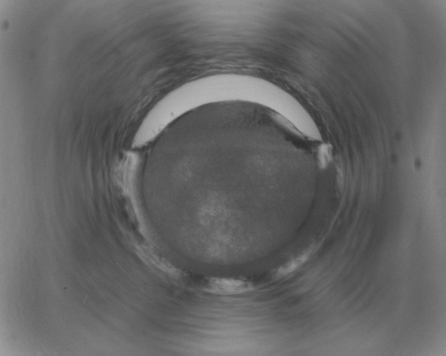 X0000064770380200603131440