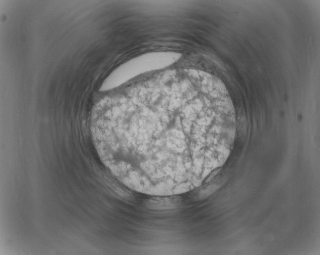 X0000064770381200603131440