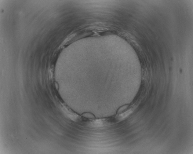 X0000064770382200603131440