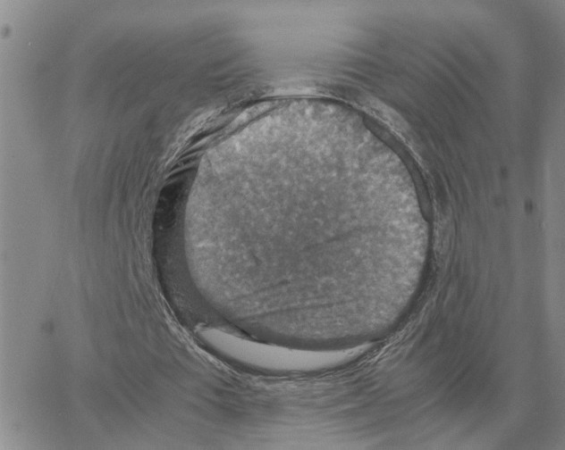 X0000064770385200603131439