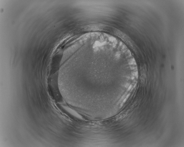 X0000064770386200603131439