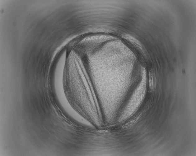 X0000064770388200603131439