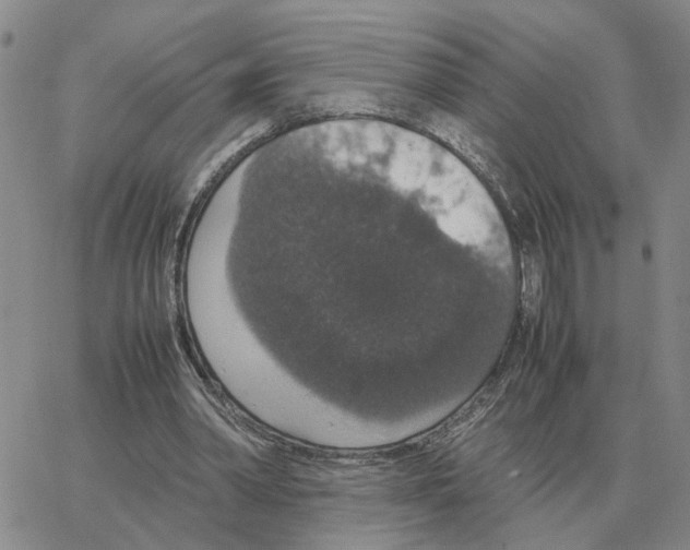 X0000064770390200603131439