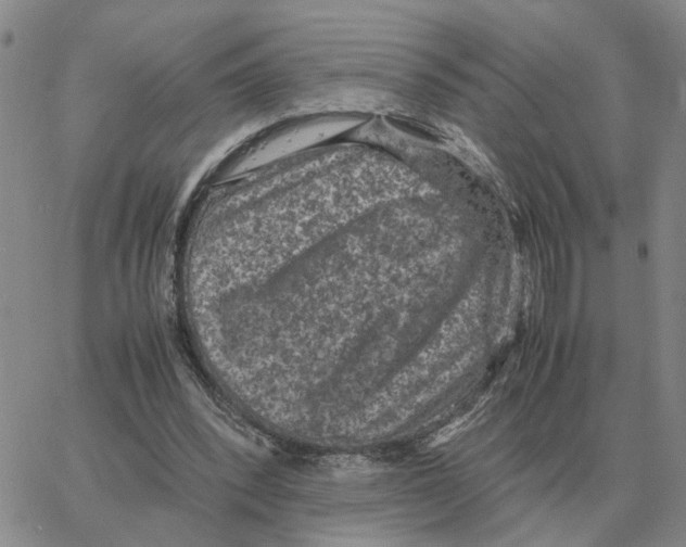 X0000064770392200603131439