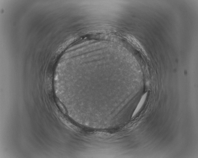 X0000064770393200603131439