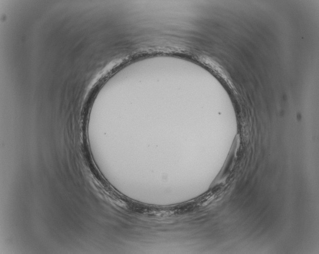 X0000064770395200603131439