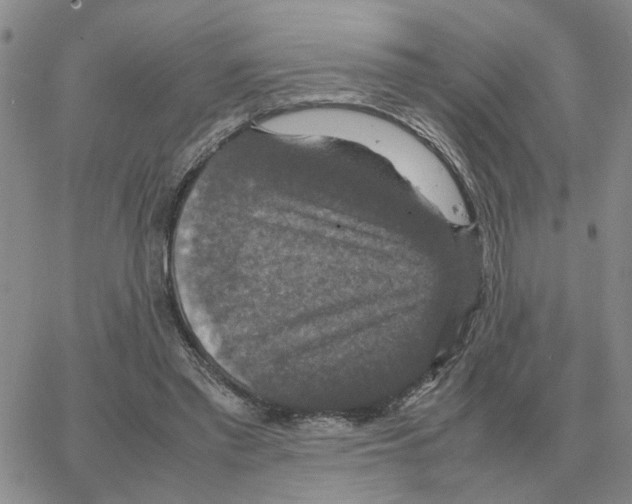 X0000064770397200603131439