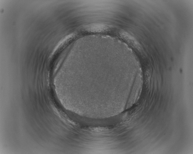 X0000064770400200603131439