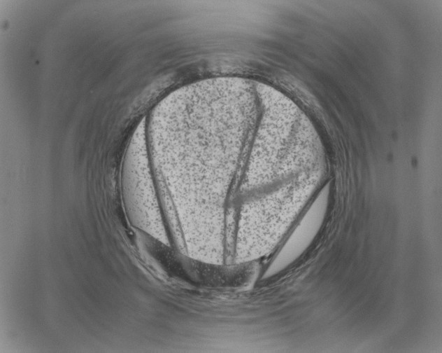 X0000064770401200603131439