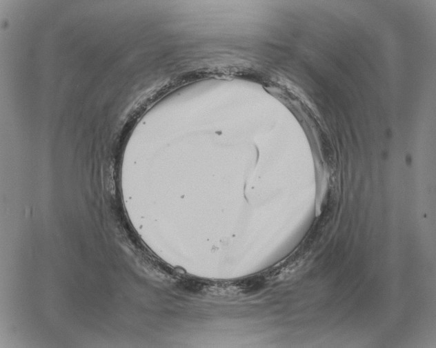 X0000064770403200603131439