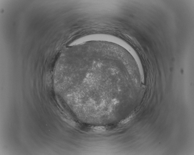 X0000064770409200603131439