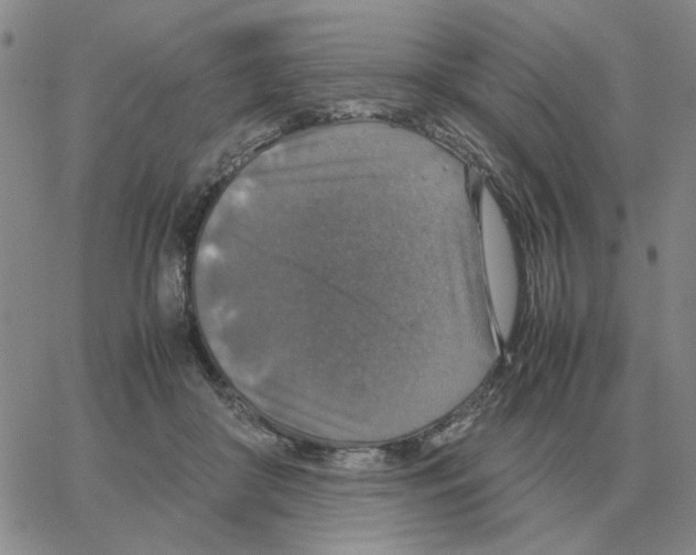 X0000064770410200603131439