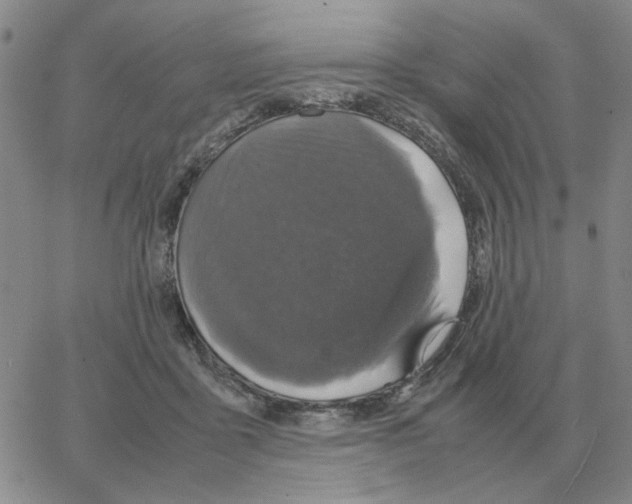 X0000064770411200603131439