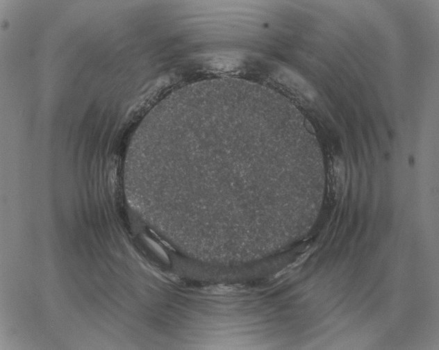 X0000064770412200603131439