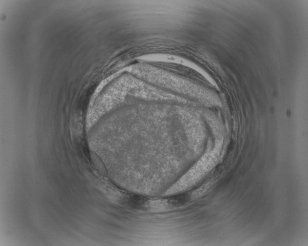 X0000064770413200603131439