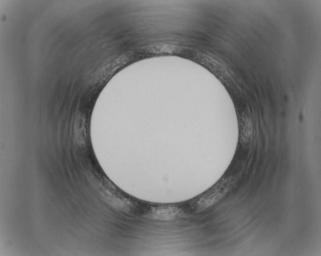 X0000064770414200603131439