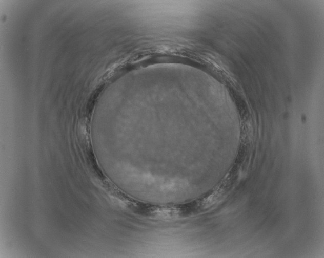 X0000064770415200603131439