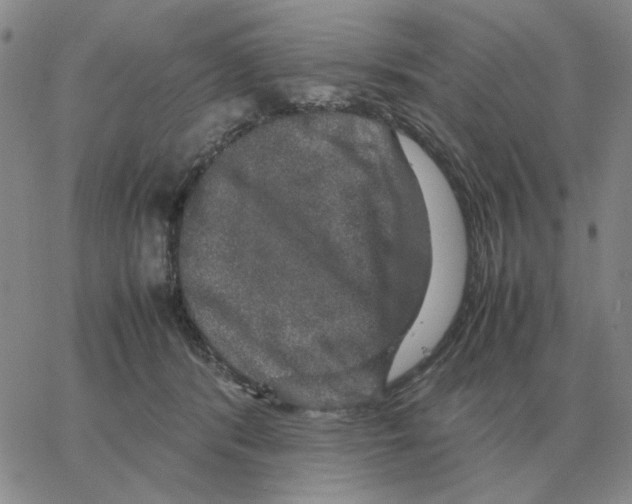 X0000064770416200603131439