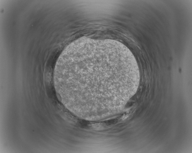 X0000064770417200603131439