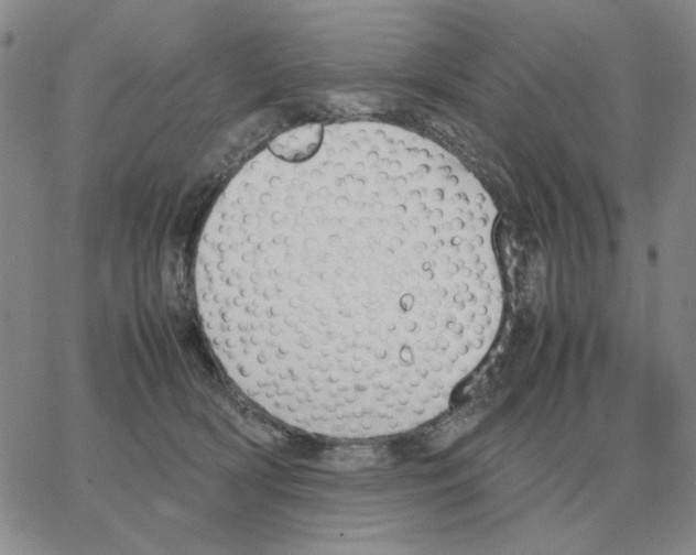 X0000064770418200603131439