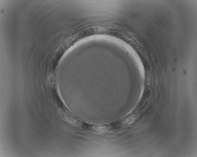 X0000064770419200603131438