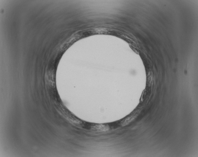 X0000064770421200603131438