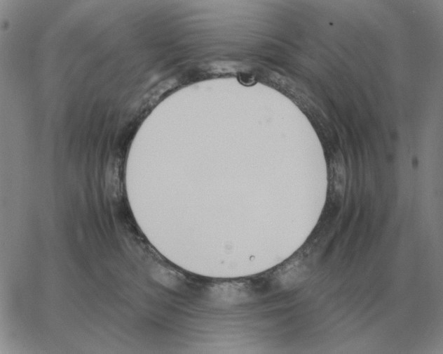 X0000064770422200603131438