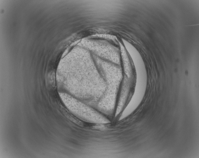 X0000064770425200603131438